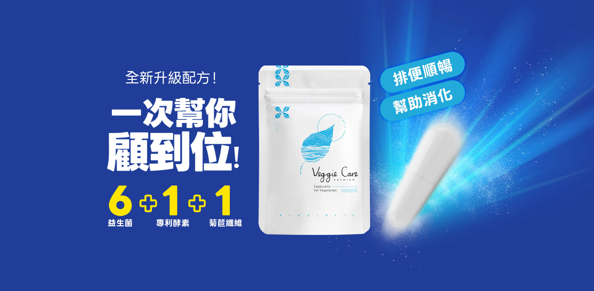 純素植物乳桿菌膠囊