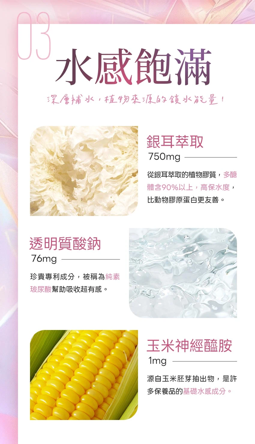 水感飽滿