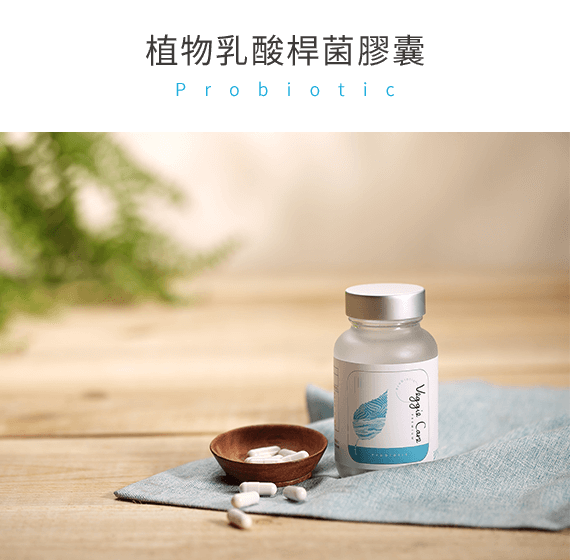 Veggie Care 植物性乳酸桿菌熱銷停售中