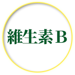 維生素Ｂ