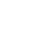 11大成分