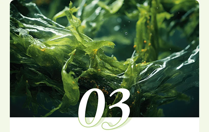 關鍵3